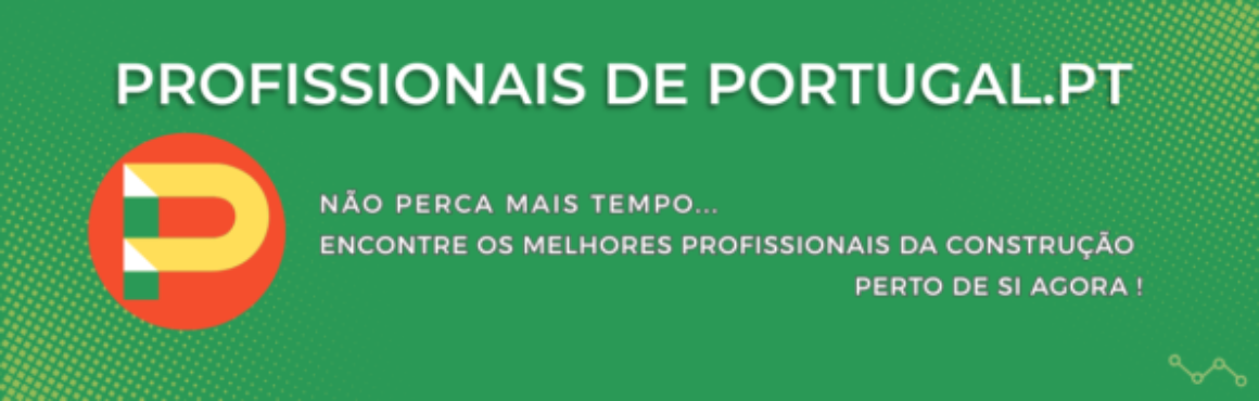 PROFISSIONAIS de portugal.pt (4)